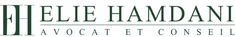 Elie Hamdani — Avocat et Conseil